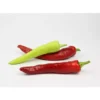 Bio-Chili Bullhorn-Chili – Bild 2