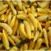 Bio-Chili Zitronen-Chili – Bild 2